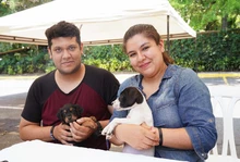 11 caninos encontraron hogar hoy, 20 esperan que les llegue el amor