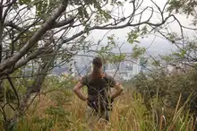 En tres horas se avistaron 65 aves, arrancó el censo de pájaros 