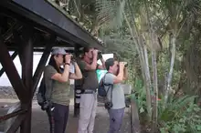 En tres horas se avistaron 65 aves, arrancó el censo de pájaros 