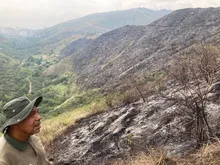 Labor titánica de guardabosques del Dagma, comunidad y bomberos para contrarrestar incendios forestales