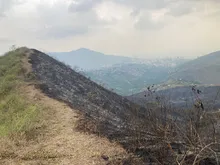Labor titánica de guardabosques del Dagma, comunidad y bomberos para contrarrestar incendios forestales