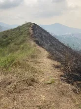 Labor titánica de guardabosques del Dagma, comunidad y bomberos para contrarrestar incendios forestales