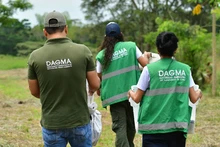 Ardilla rescatada en incendio de Altos de Menga se recuperó y fue devuelta a un hábitat natural