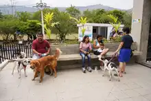 Cali celebró el Día Mundial de los Animales con servicios gratuitos para los consentidos del hogar