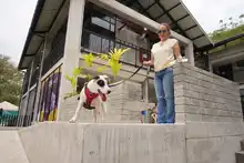 Cali celebró el Día Mundial de los Animales con servicios gratuitos para los consentidos del hogar