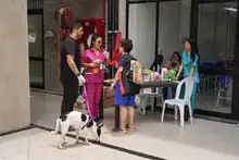 Cali celebró el Día Mundial de los Animales con servicios gratuitos para los consentidos del hogar