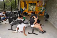 Cali celebró el Día Mundial de los Animales con servicios gratuitos para los consentidos del hogar