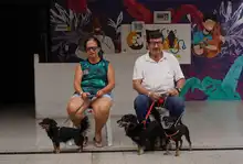 Cali celebró el Día Mundial de los Animales con servicios gratuitos para los consentidos del hogar