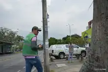 Pudo más la inconsciencia: autoridades ambientales tendrán que talar octogenaria Ceiba Pentandra