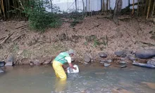 Alerta ante posible contaminación en el rio Meléndez