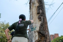 Llamado a cuidar el patrimonio natural