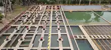 Se recomienda más ahorro de agua en esta temporada seca