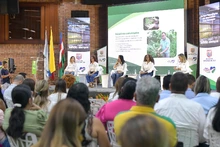 Galería principal