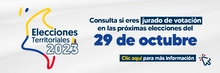 Consulta si eres jurado de votación
