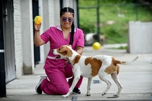 Animales rescatados del maltrato y abandono buscan un segundo hogar