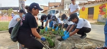Linda recibió 276 nuevas compañeras