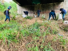 Dagma realizó mantenimiento arbóreo en jornada de prevención contra el dengue 