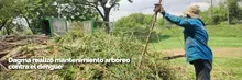 Dagma realizó mantenimiento arbóreo en jornada de prevención contra el dengue