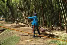 Avanza recuperación ambiental del parque El Ingenio