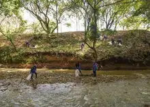 Avanza recuperación ambiental del parque El Ingenio