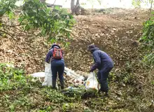 Extraen 2035 metros cúbicos de residuos de ríos y quebradas en Cali