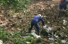 Extraen 2035 metros cúbicos de residuos de ríos y quebradas en Cali