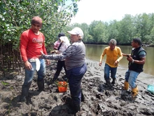 Ganadores del ‘Auténtico Sabor Caleño’ exploran la faena de piangua en Tumaco