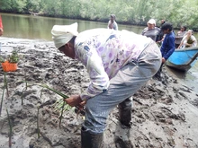Ganadores del ‘Auténtico Sabor Caleño’ exploran la faena de piangua en Tumaco