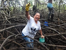 Ganadores del ‘Auténtico Sabor Caleño’ exploran la faena de piangua en Tumaco
