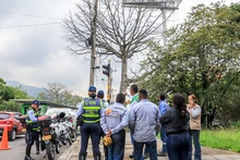 Dos días tardará la tala de ceiba en la calle quinta