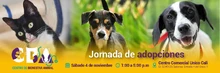 Jornada de adopciones