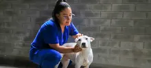 Pandora está lista para ser amada y protegida en un nuevo hoga