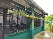 Jardín colgante biotecnológico, la novedad en la feria de la ciencia y el arte de la Institución Santo Tomás