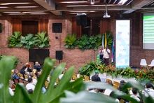 Reducir la deforestación en el Pacífico es una tarea de todos