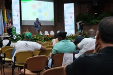 Reducir la deforestación en el Pacífico es una tarea de todos