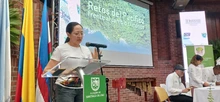 Reconocimiento a la forestería comunitaria como estrategia de aprovechamiento sostenible