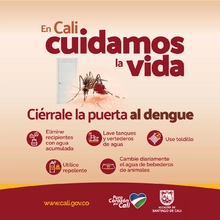 dengue