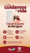 dengue