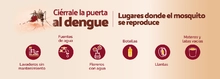 dengue