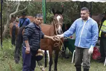Peñas Blancas, un territorio donde suceden ‘Hechos de Corazón’