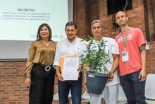 Cali, primera ciudad colombiana en tener Observatorio de Cannabis Medicinal