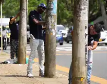 Autoridades de Cali impondrán sanciones por incumplimiento de normativa de publicidad exterior visual