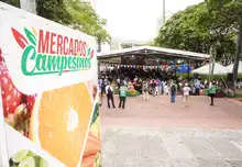 Productores de la ruralidad se encontraron en el ‘Mercado Campesino’