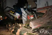 Fuertes lluvias desatan emergencia con varios árboles colapsados
