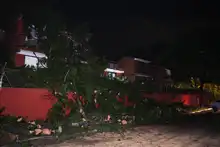 Fuertes lluvias desatan emergencia con varios árboles colapsados