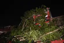 Fuertes lluvias desatan emergencia con varios árboles colapsados
