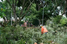 Avanza atención de emergencias por precipitaciones del fin de semana