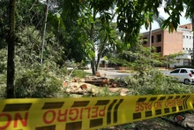 Avanza atención de emergencias por precipitaciones del fin de semana