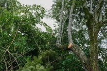Avanza atención de emergencias por precipitaciones del fin de semana
