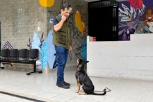 Centro de Bienestar Animal tiene un etólogo que ayuda a velar por la protección de la fauna doméstica de Cali
